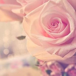 Meet your Posher, Ruth